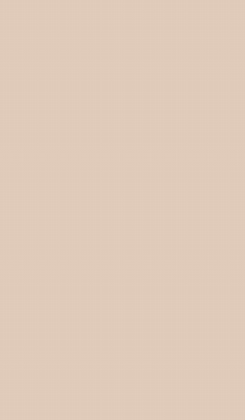 Plain color surface of SPC wall panel