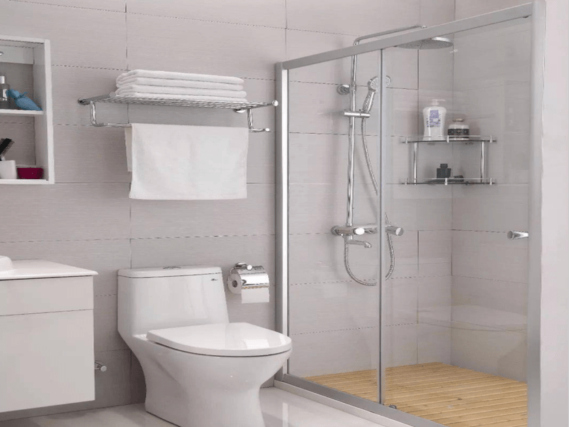 Modern bathroom with wet and dry zones separated by a glass partition